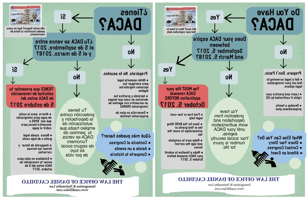 DC Law DACA Renewal Infographic